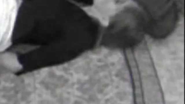 XXX hiçbir kayıt Yalamak anne ogul sikis klitoris