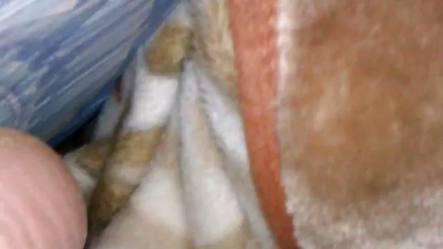 XXX hiçbir kayıt İngiliz olgun çorap cum paylaşmak yasli turbanli sikis