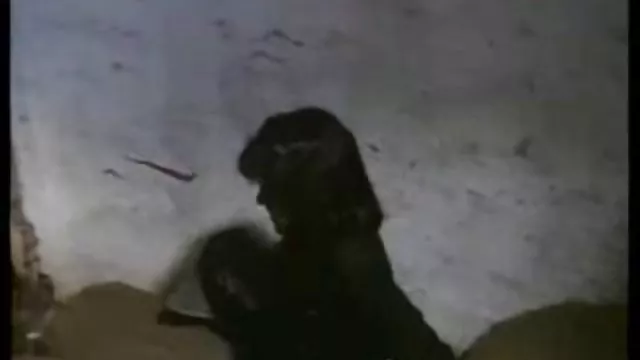 XXX hiçbir kayıt Gün T. zihin, Don Fernando vintage Porno Videolar am sikisleri